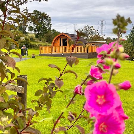 Cairnfold Cabins Kilsyth Exterior photo